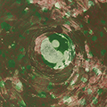 click here to see an enlargement of this image