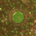 click here to see an enlargement of this image