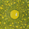 click here to see an enlargement of this image