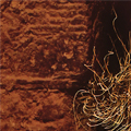 click here to see an enlargement of this image