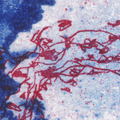 click here to see an enlargement of this image