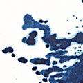 click here to see an enlargement of this image