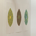 click here to see an enlargement of this image