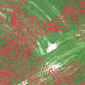 click here to see an enlargement of this image