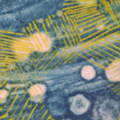 click here to see an enlargement of this image